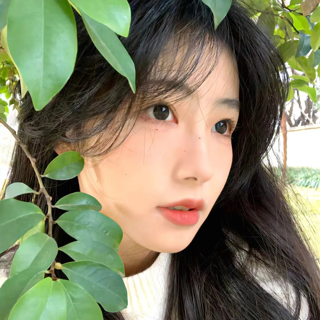 时间不会停止