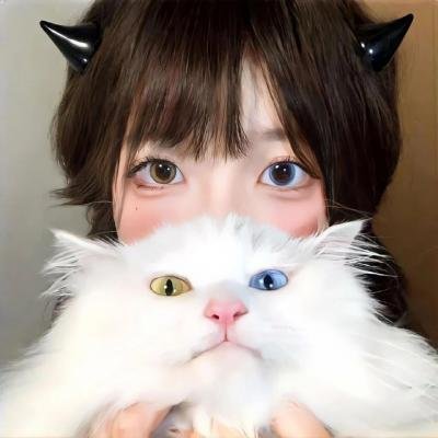 福斯特医生第一季