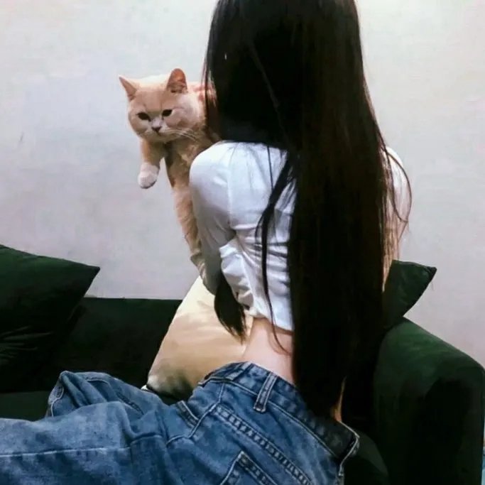 埃罗谋杀案